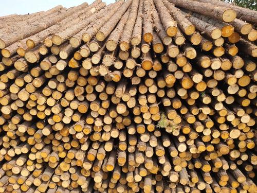 乌当区木制品加工厂